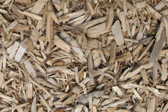 biomass boilers Dulcote